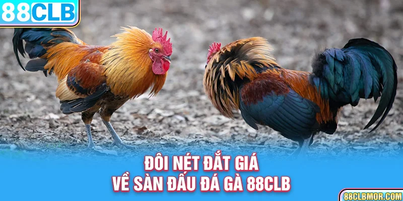 Đôi nét đắt giá về sàn đấu đá gà 88CLB