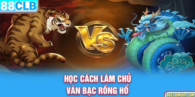 Học cách làm chủ ván bạc Rồng Hổ