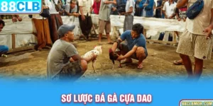 Sơ lược đá gà cựa dao